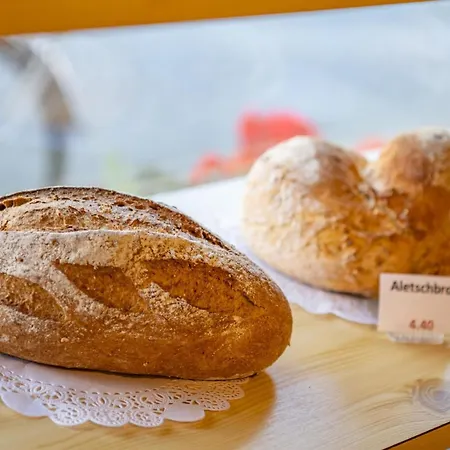 Zurschmitten 15 1- Ug Sued By Interhome Riederalp